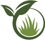 Lawn Seeding Service Pros