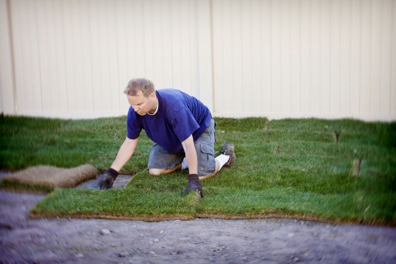 Bahia Sod Installation in Honolulu, HI