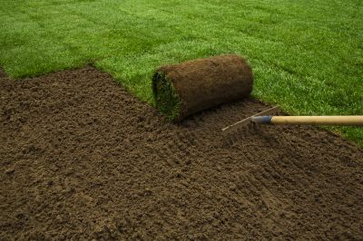 Ryegrass Sod Installation in Ventura County, CA