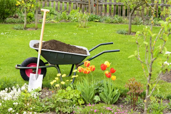 Springtime Lawn Renovation